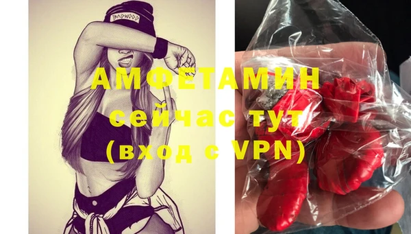 apvp Няндома