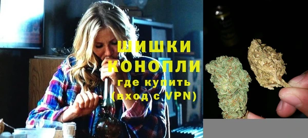 apvp Няндома
