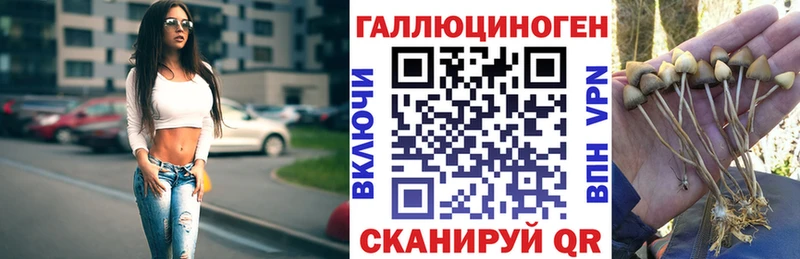 Галлюциногенные грибы Magic Shrooms  darknet состав  Лакинск 