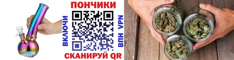 Бошки Шишки планчик  Лакинск 